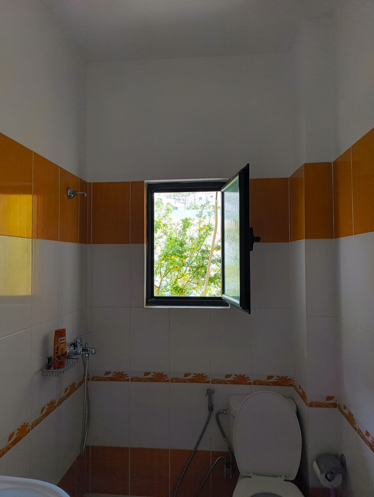 Bathroom Window